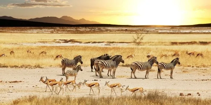 Memorias de Africa - Mindful Trave