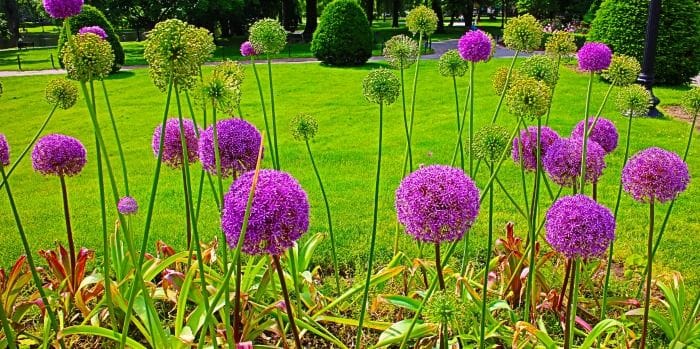 Un viaje por el corazón de Boston a través de Instagram