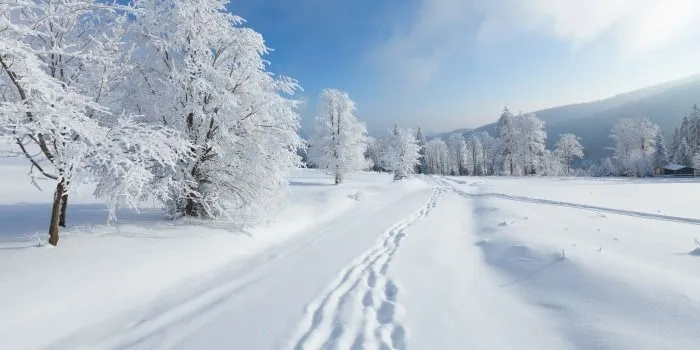 Friday Pic: World&rsquo;s Best Ski spots