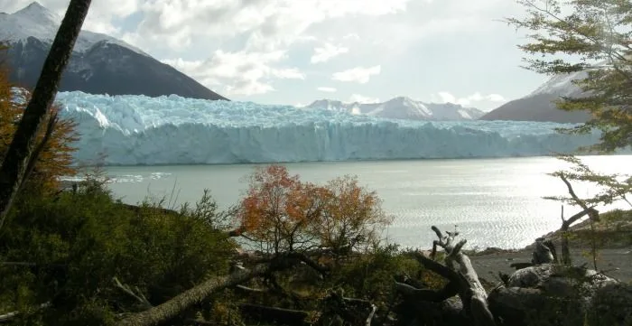 Glaciar Perito Moreno