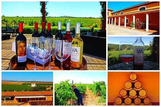 chinchilla de montearagón