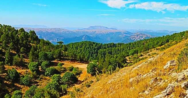 Provincia-de-Albacete