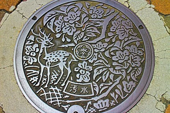 informacion de japon