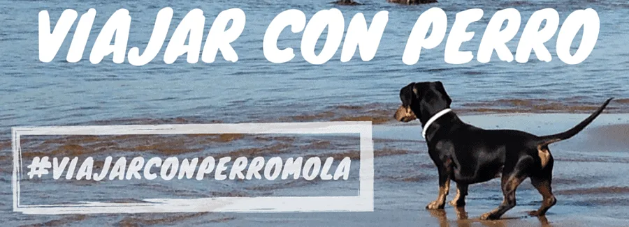 Viajar con Perro 1
