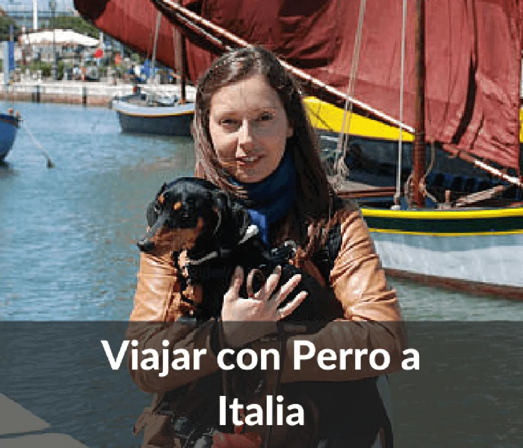 Viajar con perro a Italia 1024x878