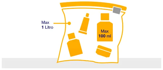 neceser equipaje de mano