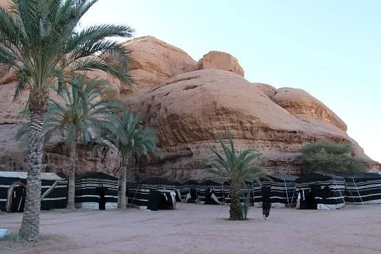 Campamento Desierto Wadi Rum