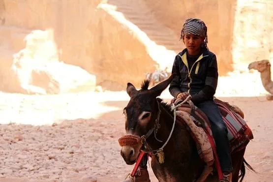 que hacer en jordania