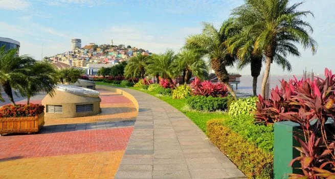 ciudad de guayaquil
