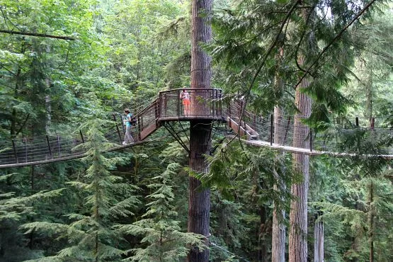 Actividades Puente colgante de capilano
