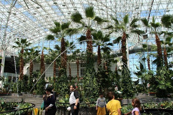 Información práctica del Navy Pier