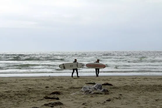 Isla de Vancouver surf