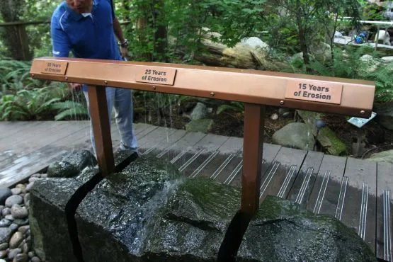 Naturaleza Puente suspendido de Capilano