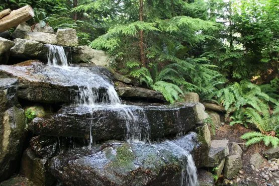 Naturaleza Vancouver