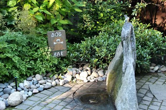 Puente de Capilano Dog Friendly