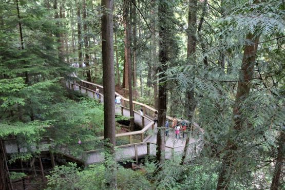 Recorrido por el bosque húmedo