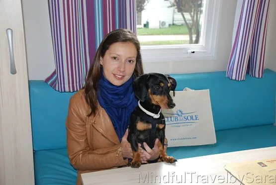 Requisitos para Viajar con Mascotas