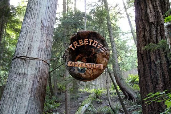Treetops Puente de Capilano