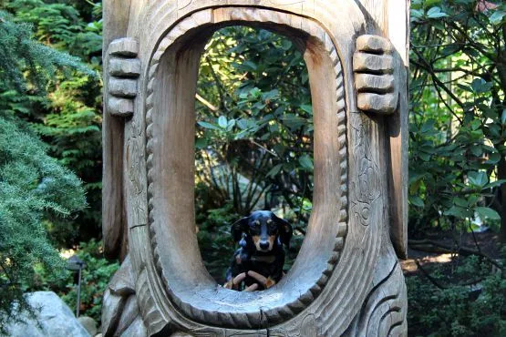 Viajar con perro a Vancouver