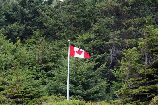 bosque isla vancouver