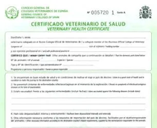 certificado de salud perros