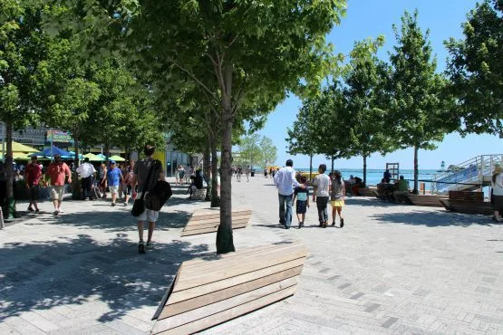 navy pier en chicago