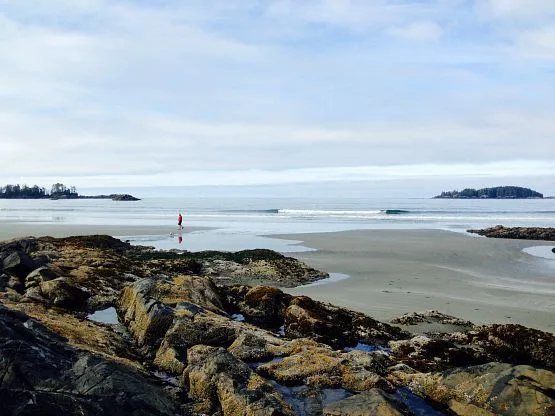 playa chesterman tofino