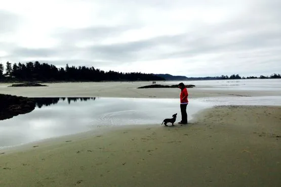 viajar con perro isla de vancouver