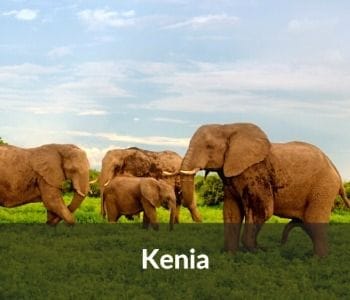Guía de Kenia