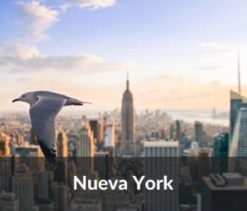 Guía de Nueva York