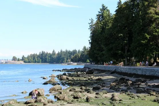 Paseo Parque Stanley