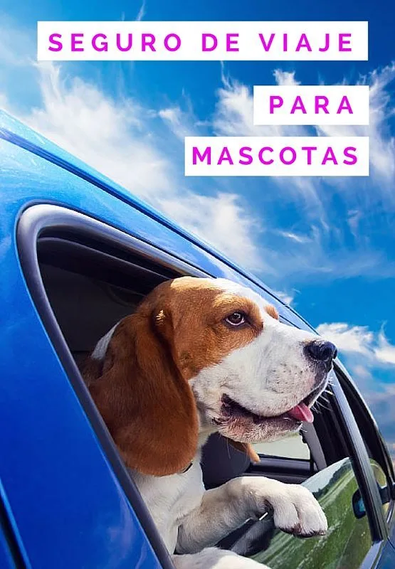Seguro de viaje para perro