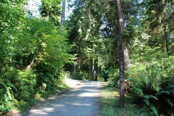 Tatlow Trail Parque Stanley