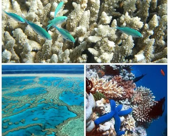 best scuba diving in the world