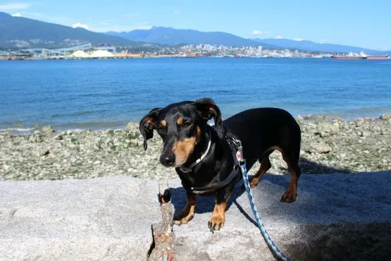 parque stanley en vancouver