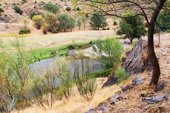 sierra de Ayllón