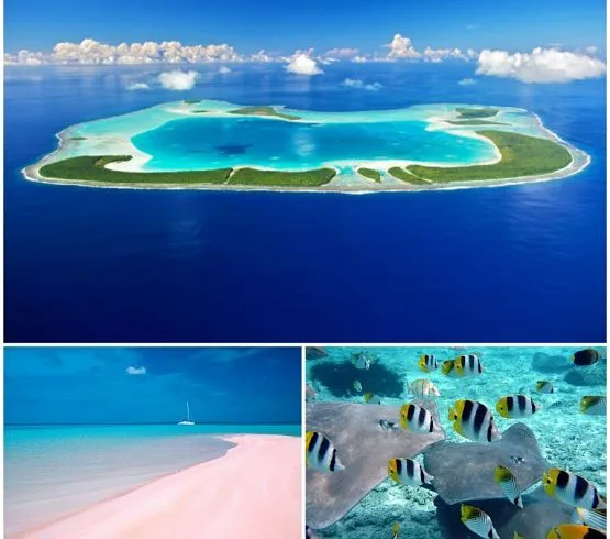 top scuba diving destinations