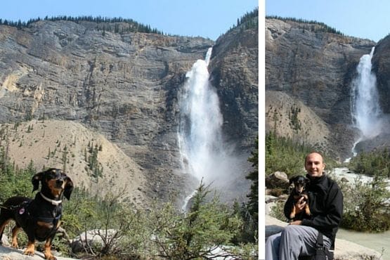 Viajar con Perro a Canadá Cascada Takakkaw
