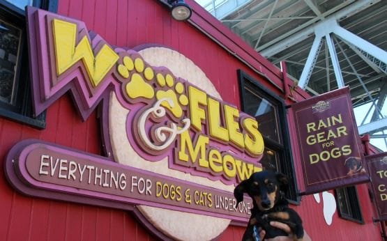 Viajar con Perro a Canadá Granville