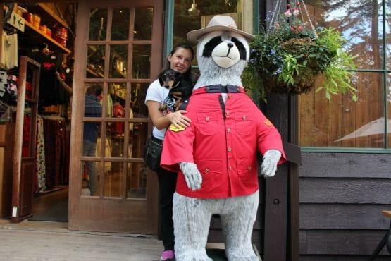 Viajar con Perro a Canadá Vancouver Capilano