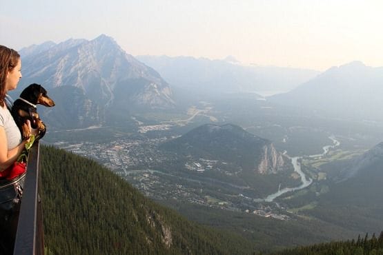 Viajar con Perro a Canadá Vistas Banff