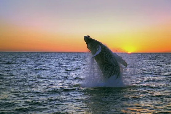 what to do in Iceland