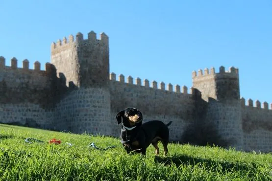 Muralla de Avila