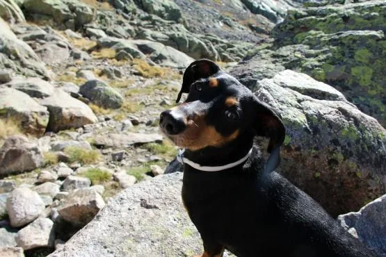 sierra de gredos rutas