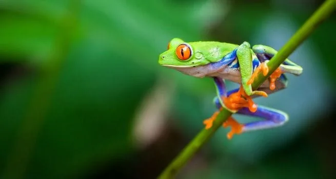 lugares turisticos de costa rica