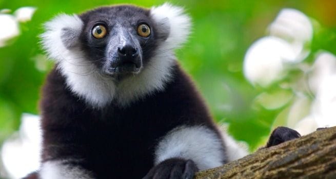 Por qu&eacute; la isla de Madagascar te har&aacute; sentir especial