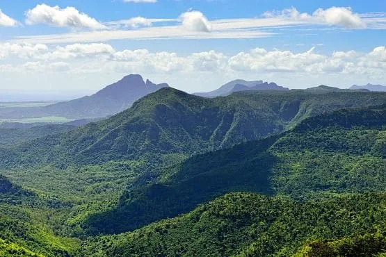 fotos de Mauricio