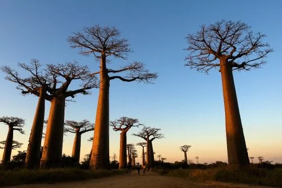 madagascar turismo