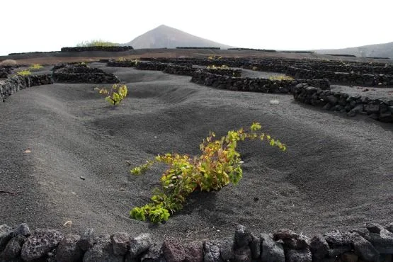 turismo de lanzarote