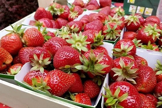 Museo de la fresa Namur